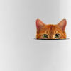 deecatmom